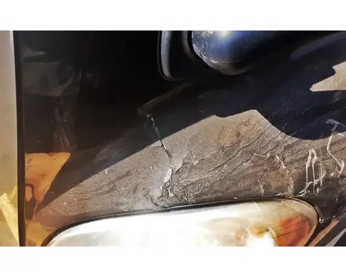 FREIGHTLINER Cascadia 113 Hood