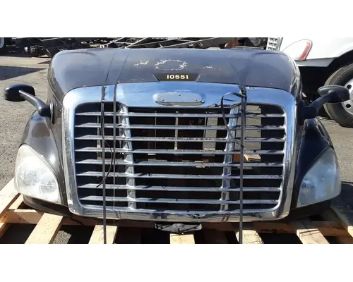 FREIGHTLINER Cascadia 113 Hood