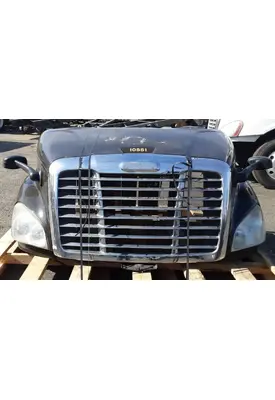 FREIGHTLINER Cascadia 113 Hood