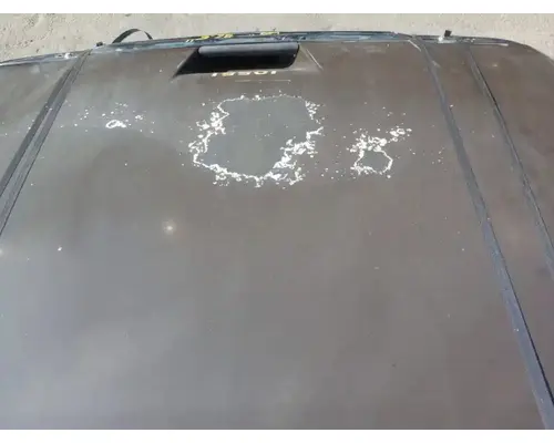 FREIGHTLINER Cascadia 113 Hood