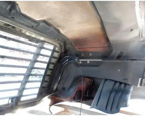 FREIGHTLINER Cascadia 113 Hood