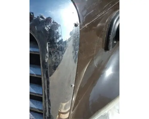 FREIGHTLINER Cascadia 113 Hood