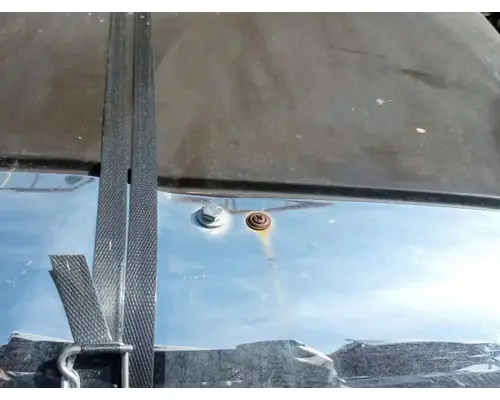 FREIGHTLINER Cascadia 113 Hood