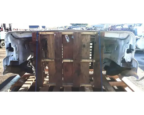 FREIGHTLINER Cascadia 113 Hood