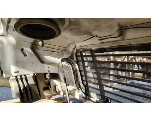 FREIGHTLINER Cascadia 113 Hood
