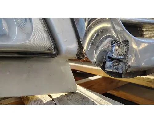 FREIGHTLINER Cascadia 113 Hood