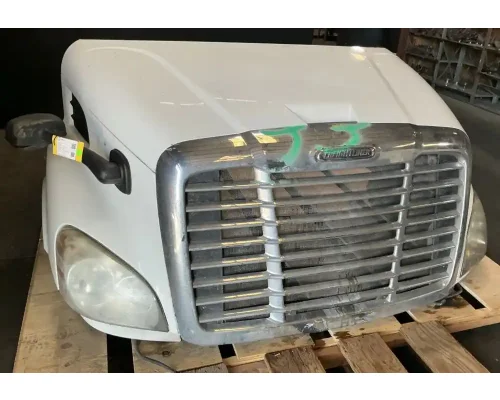 FREIGHTLINER Cascadia 113 Hood