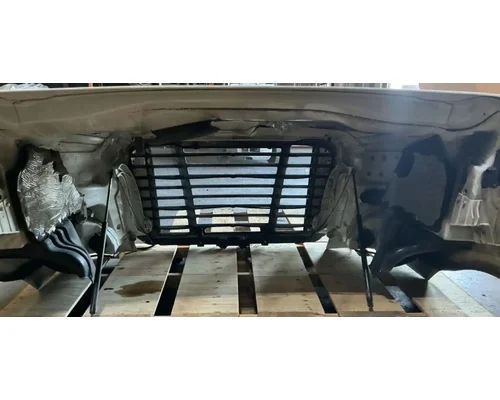 FREIGHTLINER Cascadia 113 Hood