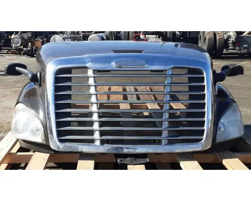 FREIGHTLINER Cascadia 113 Hood