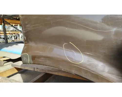 FREIGHTLINER Cascadia 113 Hood