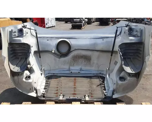 FREIGHTLINER Cascadia 113 Hood