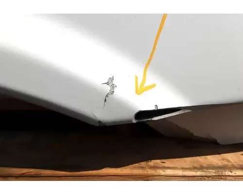 FREIGHTLINER Cascadia 113 Hood