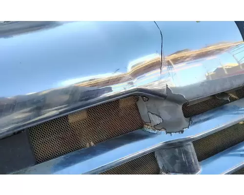 FREIGHTLINER Cascadia 113 Hood