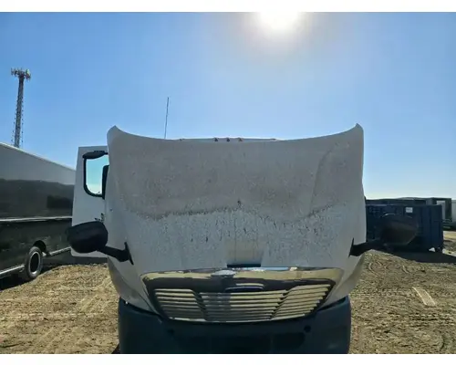 FREIGHTLINER Cascadia 113 Hood