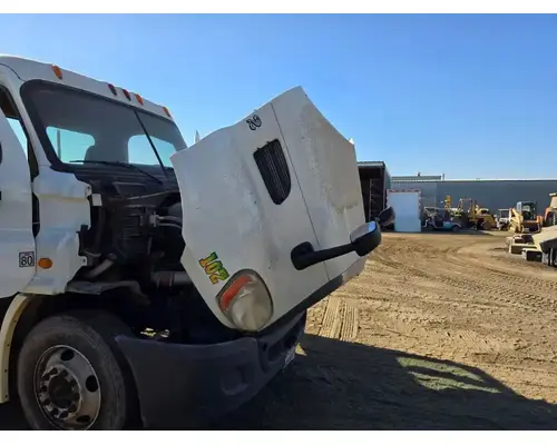 FREIGHTLINER Cascadia 113 Hood
