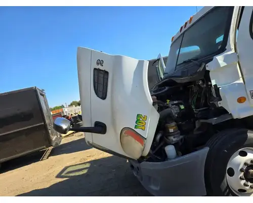FREIGHTLINER Cascadia 113 Hood