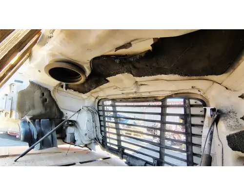 FREIGHTLINER Cascadia 113 Hood