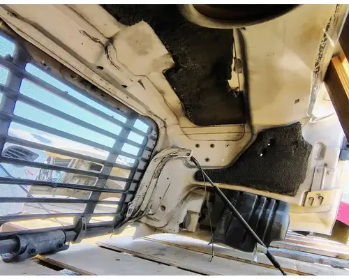 FREIGHTLINER Cascadia 113 Hood