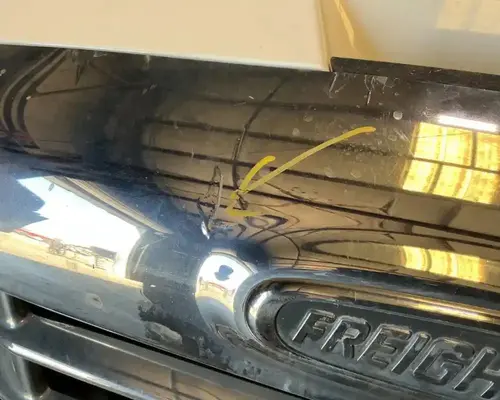 FREIGHTLINER Cascadia 113 Hood