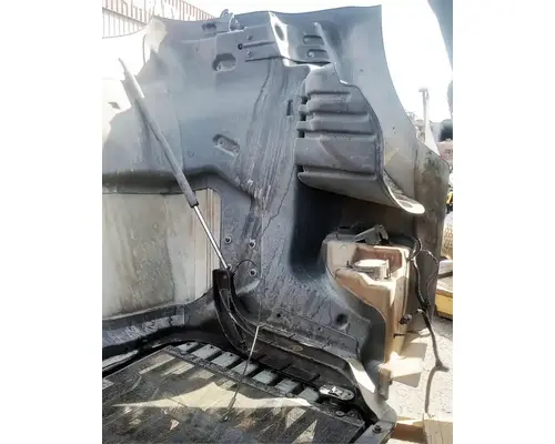 FREIGHTLINER Cascadia 113 Hood