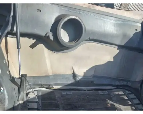 FREIGHTLINER Cascadia 113 Hood