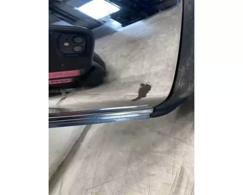 FREIGHTLINER Cascadia 113 Mirror (Side View)
