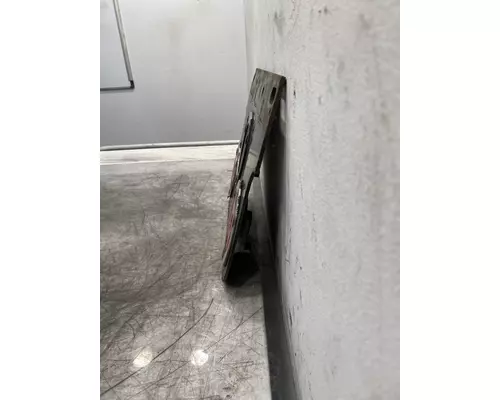 FREIGHTLINER Cascadia 113 Rear Light Panel