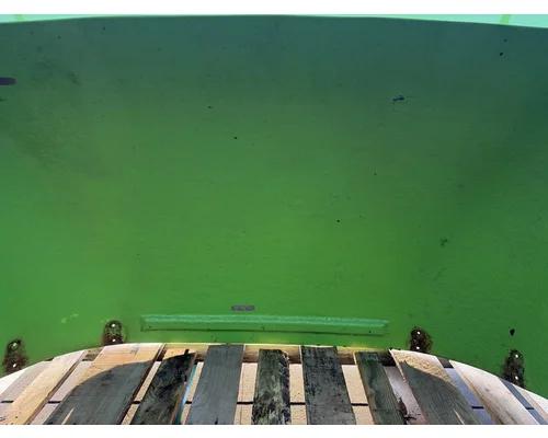 FREIGHTLINER Cascadia 113 Roof Assembly