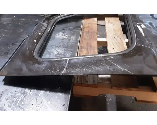 FREIGHTLINER Cascadia 116 Day Cab Door Assembly, Front