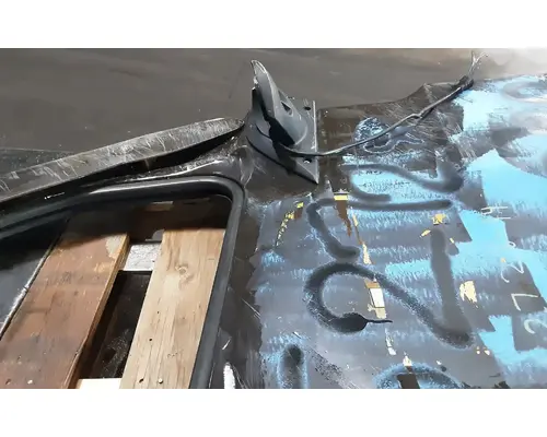 FREIGHTLINER Cascadia 116 Day Cab Door Assembly, Front