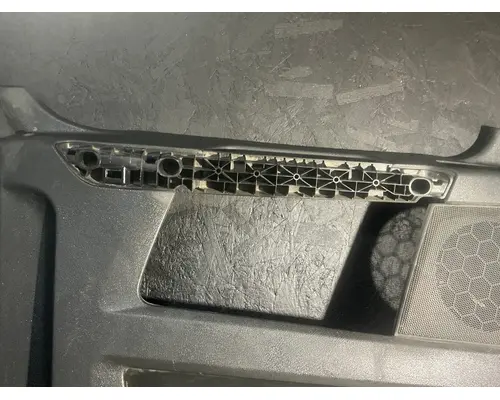 FREIGHTLINER Cascadia 116 Day Cab Interior Panel, Front Door