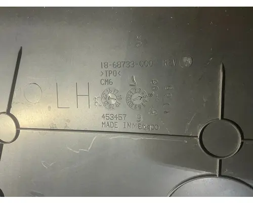 FREIGHTLINER Cascadia 116 Day Cab Interior Panel, Front Door