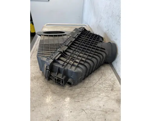 FREIGHTLINER Cascadia 116 Air Cleaner