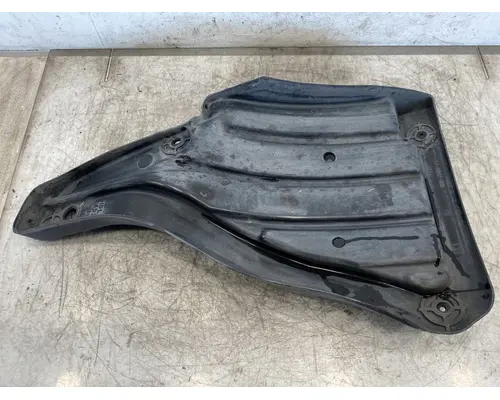 FREIGHTLINER Cascadia 116 Fender Extension