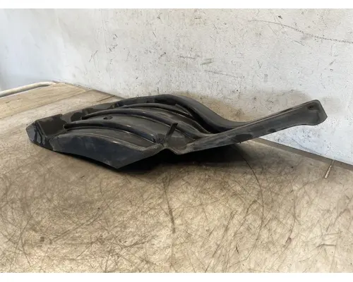 FREIGHTLINER Cascadia 116 Fender Extension