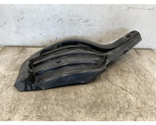 FREIGHTLINER Cascadia 116 Fender Extension