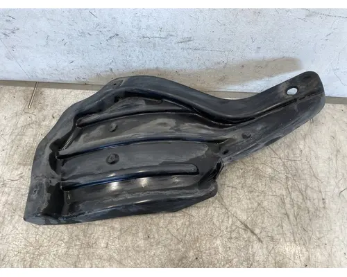 FREIGHTLINER Cascadia 116 Fender Extension