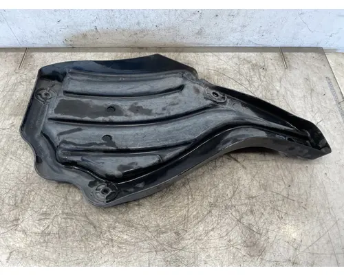 FREIGHTLINER Cascadia 116 Fender Extension