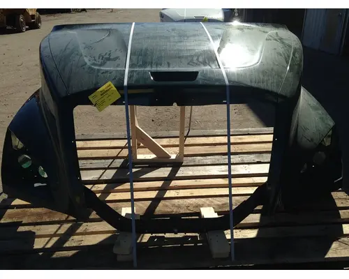 FREIGHTLINER Cascadia 116 Hood