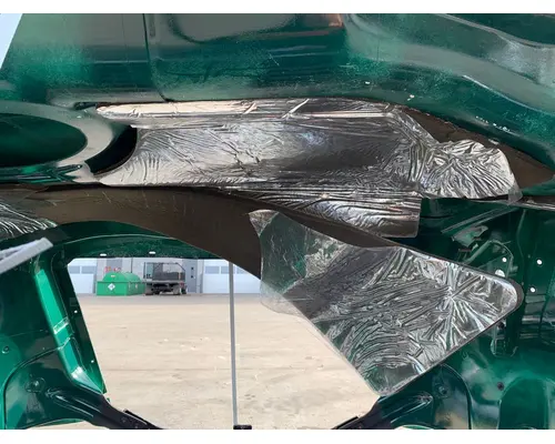 FREIGHTLINER Cascadia 116 Hood