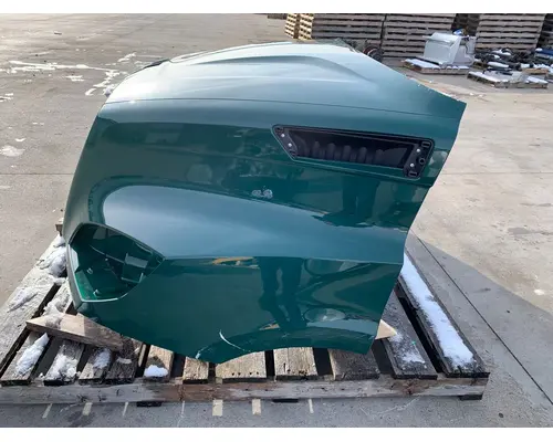 FREIGHTLINER Cascadia 116 Hood