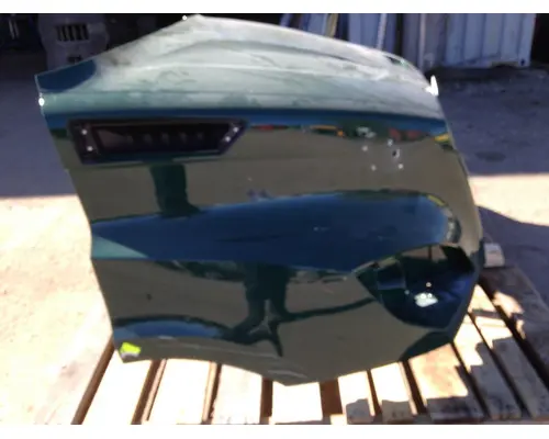 FREIGHTLINER Cascadia 116 Hood