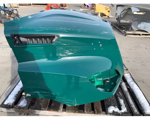FREIGHTLINER Cascadia 116 Hood