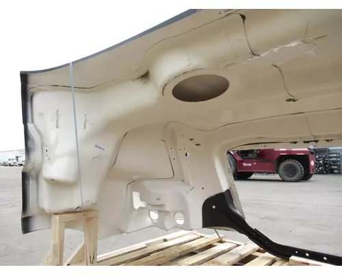 FREIGHTLINER Cascadia 116 Hood