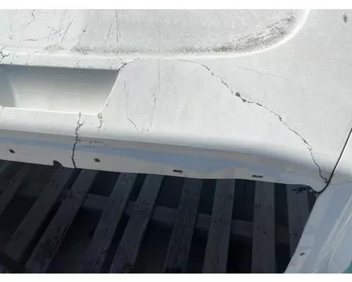 FREIGHTLINER Cascadia 116 Hood