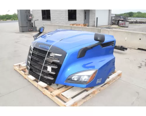 FREIGHTLINER Cascadia 116 Hood