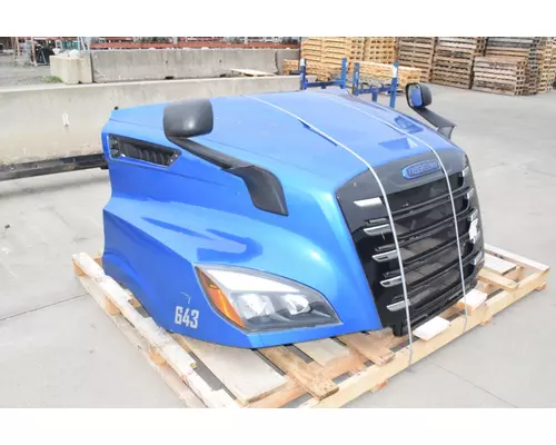 FREIGHTLINER Cascadia 116 Hood