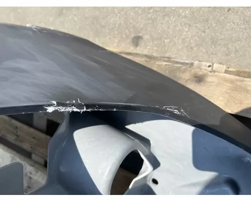FREIGHTLINER Cascadia 116 Hood