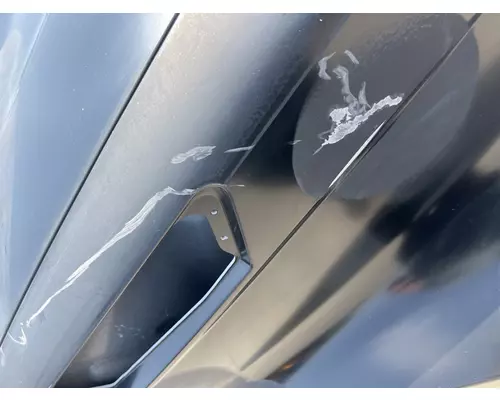 FREIGHTLINER Cascadia 116 Hood