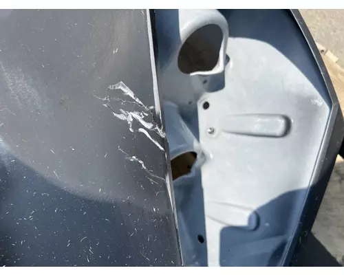 FREIGHTLINER Cascadia 116 Hood
